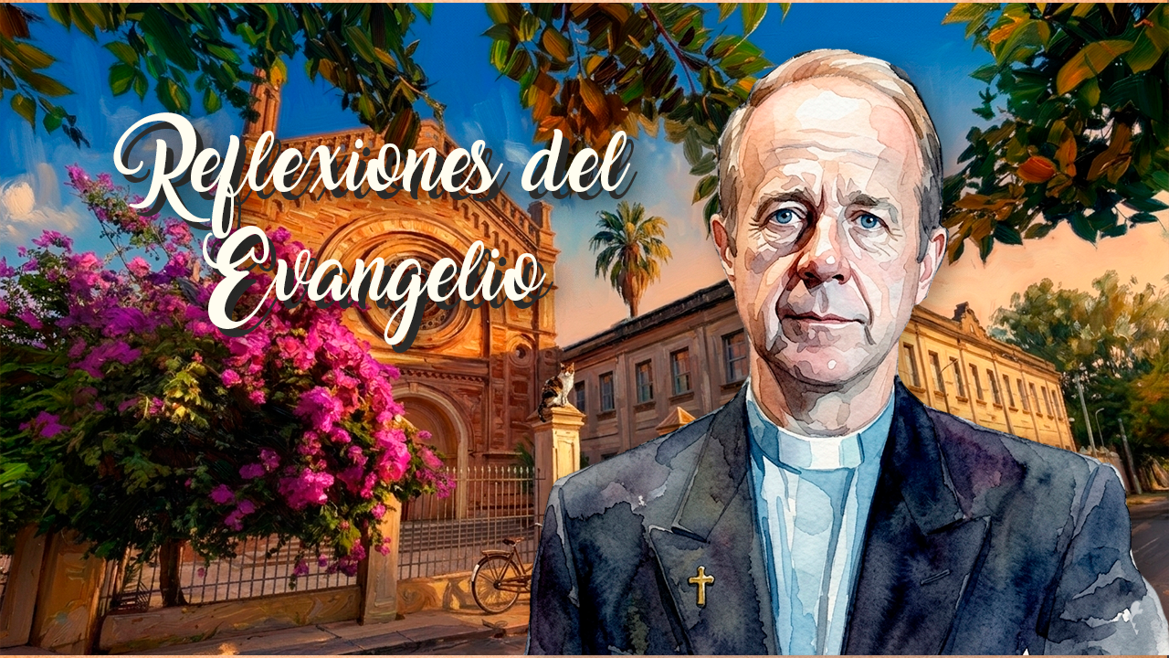 Reflexiones del Evangelio