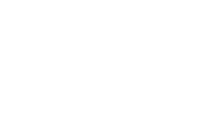 Scout Symbol